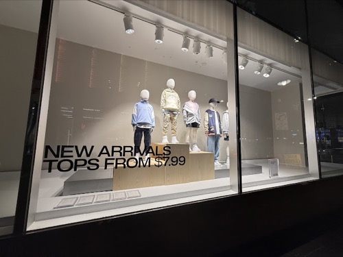 Ace Melbourne painting & renovation