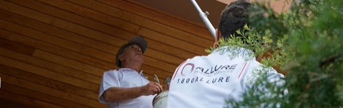 Allure Painting Services