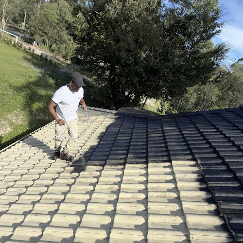 Brush Master Painting