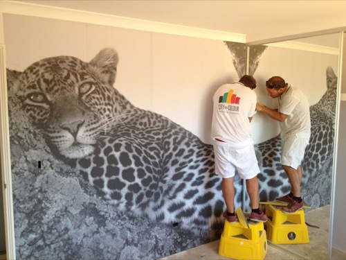 City in Colour Pty Ltd