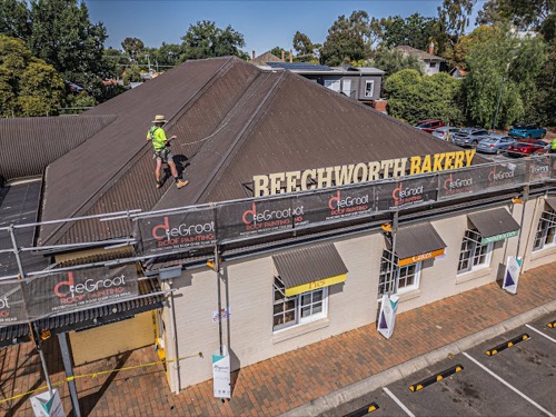 De Groot Roof Painting