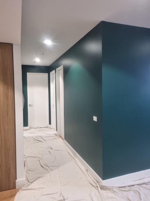 Fine Finish Paintings