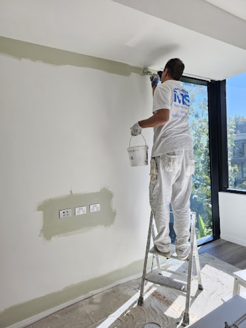 Mads Professional Painting