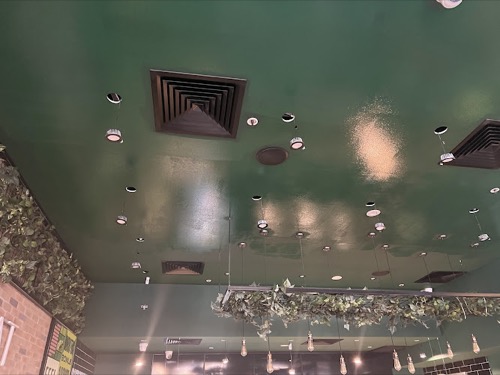 MJ Painting Services