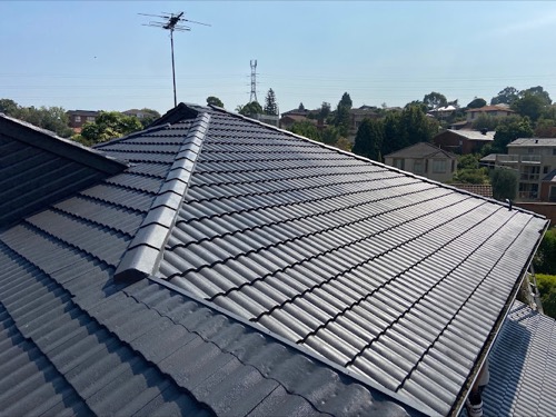 MPG Crowned Painting & Plastering