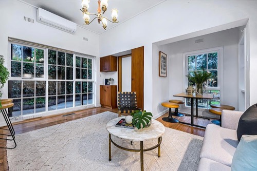 Natural Coat Painting