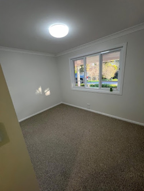 Noor Painting & Decorating