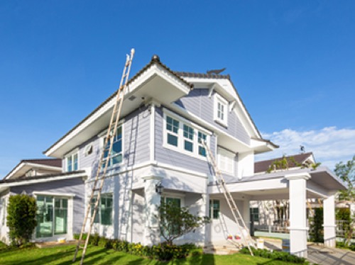 Painting and Decorating Specialist 20 years experience