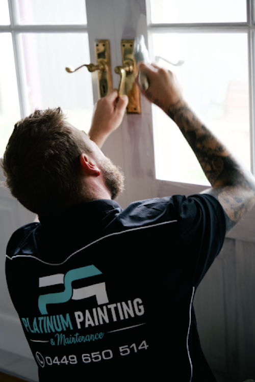 Platinum Painting & Maintenance