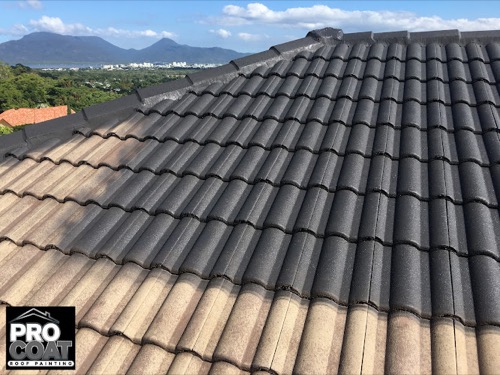 Pro Coat Roof Painting