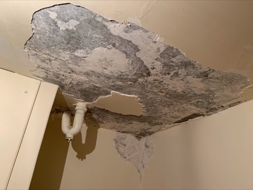 Signature Painting Perth