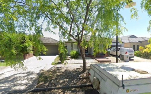 Silver Apple Painting