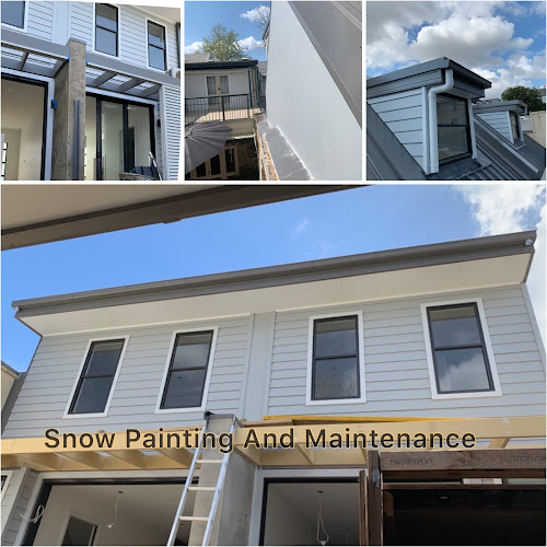Snow Painting & Maintenance