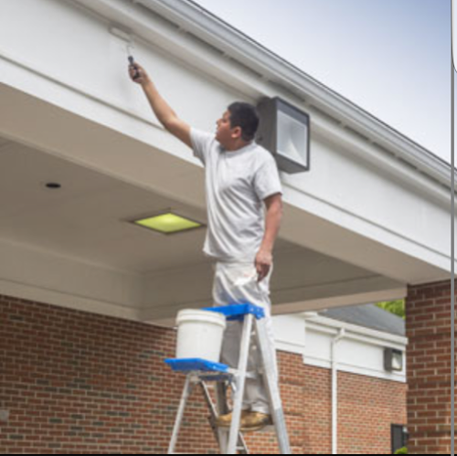 Tristan painting & Decorating (Handy man)