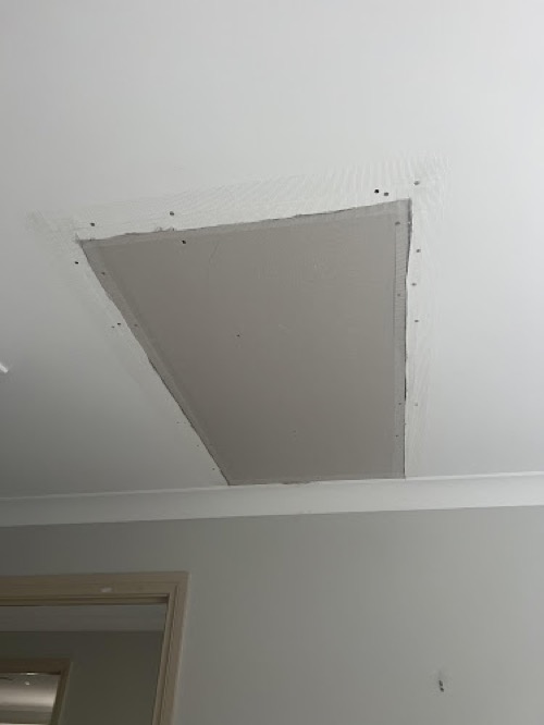 Vibrant Painting and Decorating Service